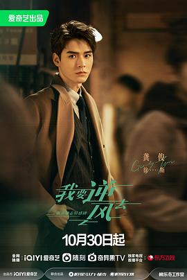 一对一网站排名优化价格